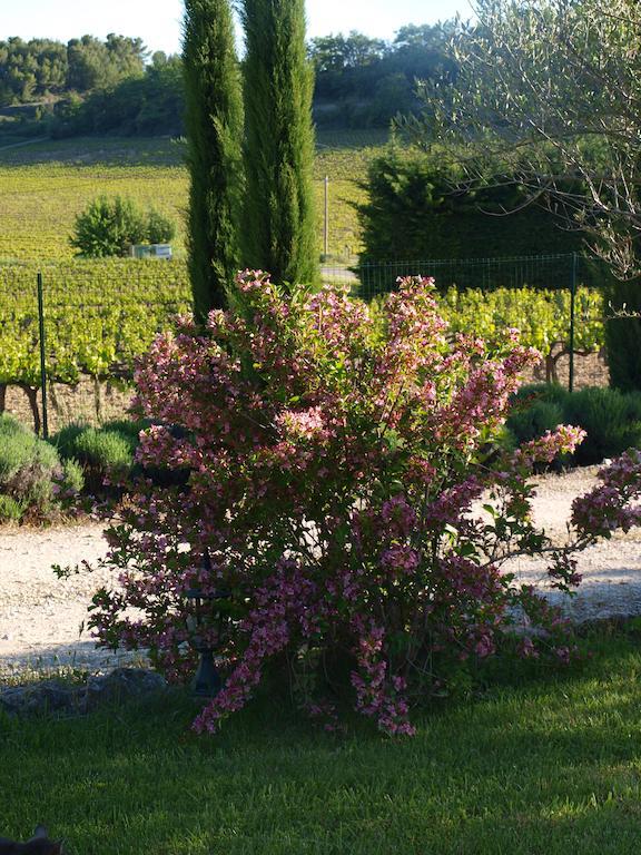 Jardin D'Antan Bed & Breakfast Ansouis Exterior foto