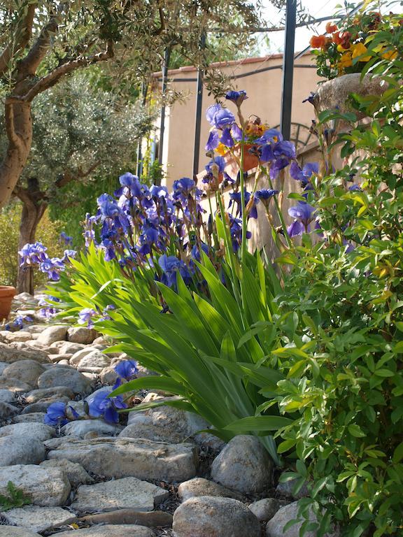 Jardin D'Antan Bed & Breakfast Ansouis Exterior foto