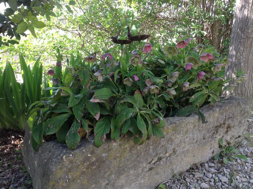 Jardin D'Antan Bed & Breakfast Ansouis Exterior foto